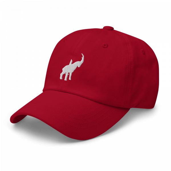 Daddy Ibex Cap - Image 10