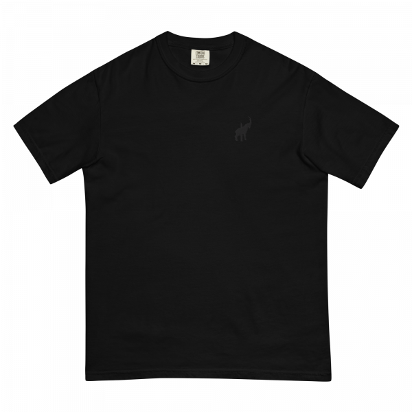 Nocturnal - Image 2