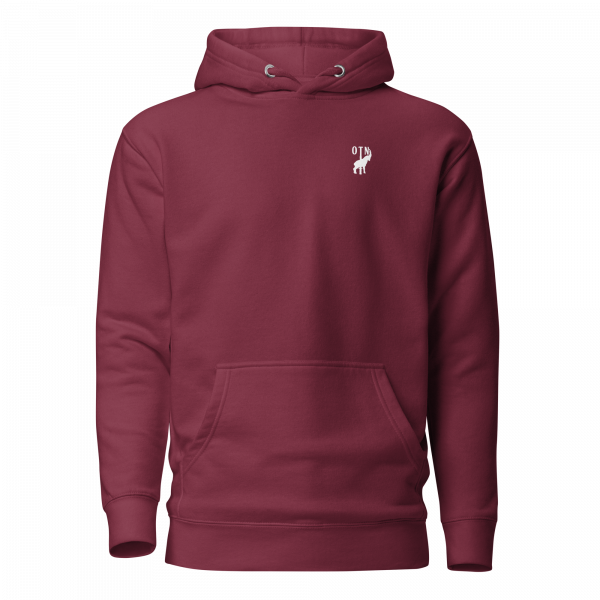 OTN x DIS Collab Hoodie - Image 3
