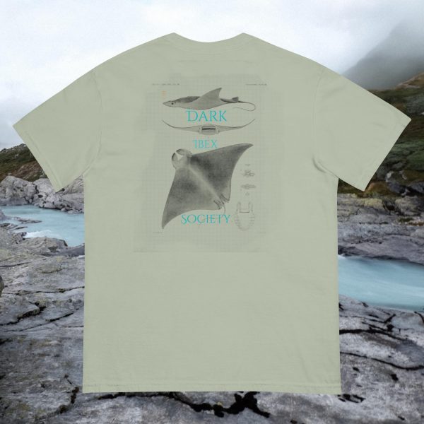 Stingray Shirt - Image 5