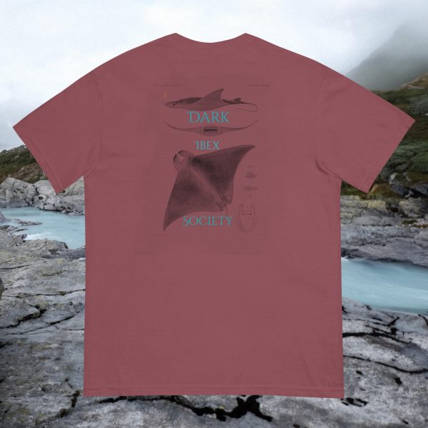 Stingray Shirt - Image 2