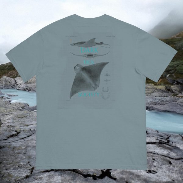 Stingray Shirt - Image 4