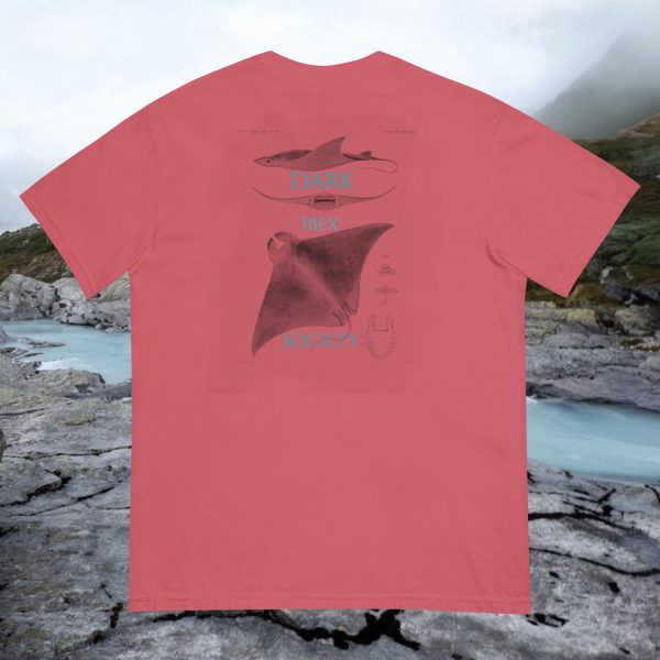 Stingray Shirt - Image 3